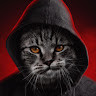Fradar